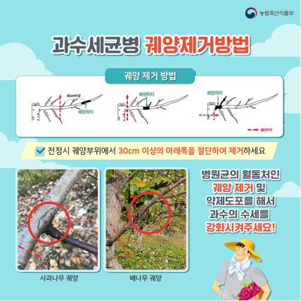 월동기 과수화상병 예방·예찰 활동 강화