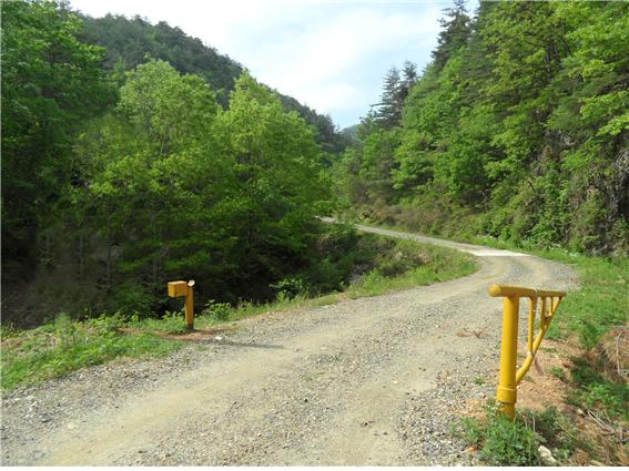 산림청, “추석” 명절 임도 개방 취소