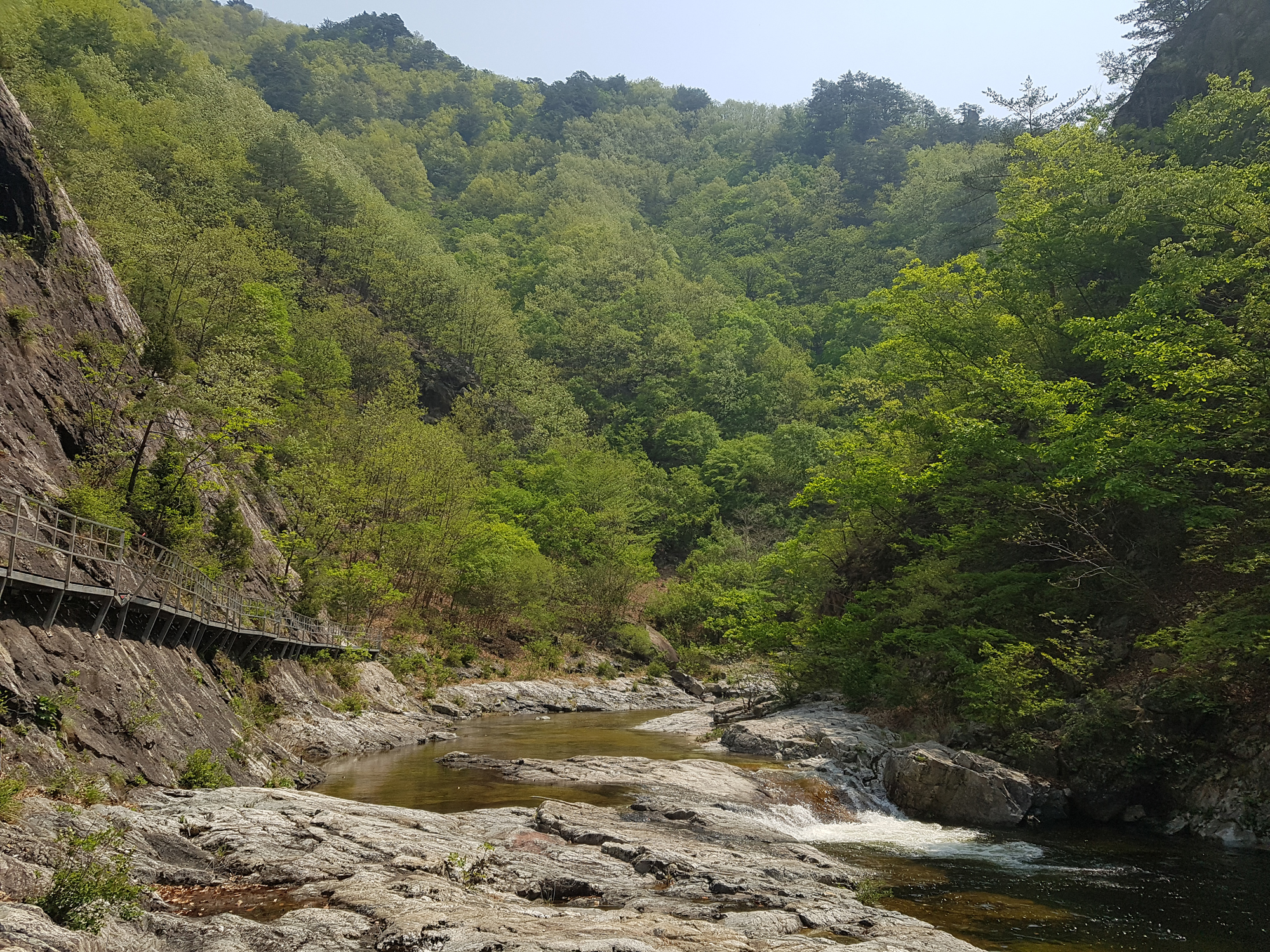 산림의 보존 가치가 높은 국가산림문화자산 신규 지정 산림의 보존 가치가 높은 국가산림문화자산 신규 지정